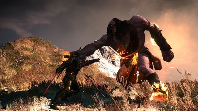 The Witcher 3 Screenshot 2025.06.07 - 23.07.02.32.jpg