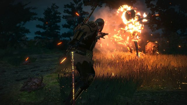 The Witcher 3 Screenshot 2025.05.25 - 21.44.28.04.jpg