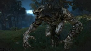 ВОЛКОЛАК, или монстры мира Ведьмак III