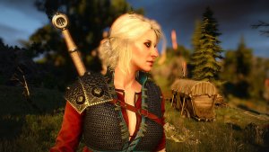 Цири. Ведьмак III (сборка Торна)