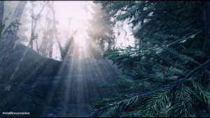 Солнца лучи.. Fallout-4 (Сборка 11)