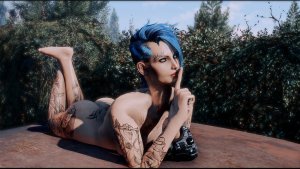 ВИ загарает на крыше авто. Fallout-4 (Сборка 11)