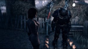 Нел и силовая броня. Fallout-4 (Сборка 11)