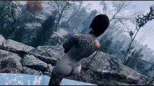 Нора смотрит на Сэнкчуари. Fallout-4 (Сборка 11)