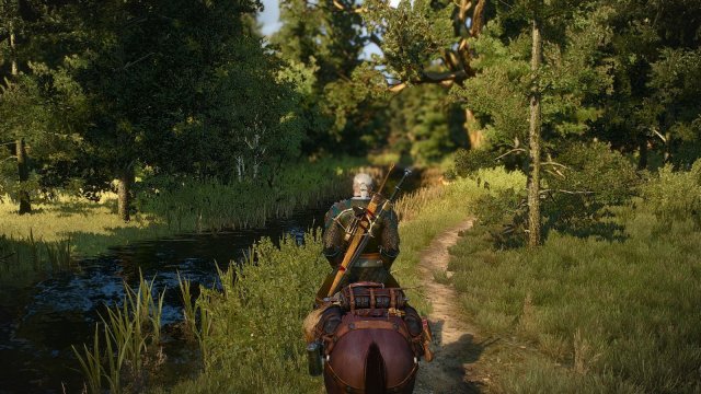 The Witcher 3 Screenshot 2025.05.20 - 23.46.31.38.jpg