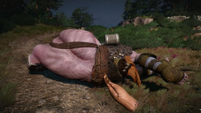 The Witcher 3 Screenshot 2025.05.06 - 22.38.03.23.jpg