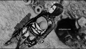 НОРА.. Fallout-4 (Сборка 11)