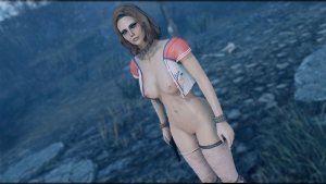 Поселенка.. Fallout-4 (Сборка 11)