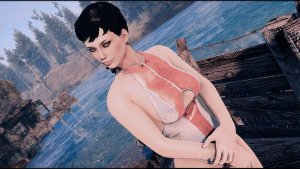 Поселенка на посту.. Fallout-4 (Сборка 11)