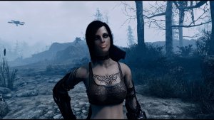 Новое поселение будет.. Fallout-4 (Сборка 11)