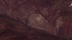 Дубрава.. SKYRIM AE (Сборка 16)