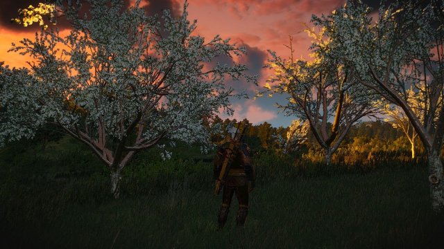 The Witcher 3 Screenshot 2025.05.21 - 22.09.29.65.jpg