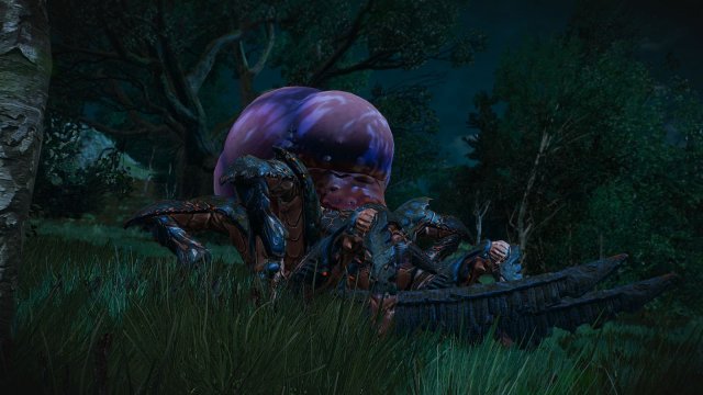 The Witcher 3 Screenshot 2025.05.21 - 22.30.41.13.jpg