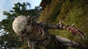 НАКЕРЫ, или монстры мира Ведьмак.