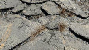 Текстурки.. Fallout-4 (Сборка 12)