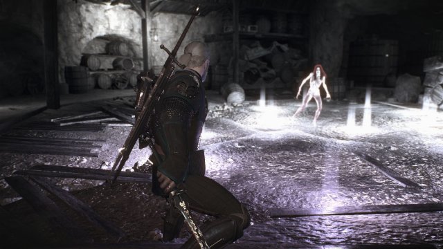 The Witcher 3 Screenshot 2025.05.22 - 21.17.47.24.jpg