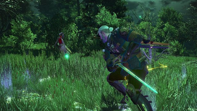 The Witcher 3 Screenshot 2025.05.21 - 22.06.43.34.jpg