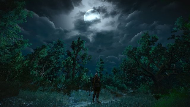 The Witcher 3 Screenshot 2025.05.21 - 22.36.14.31.jpg