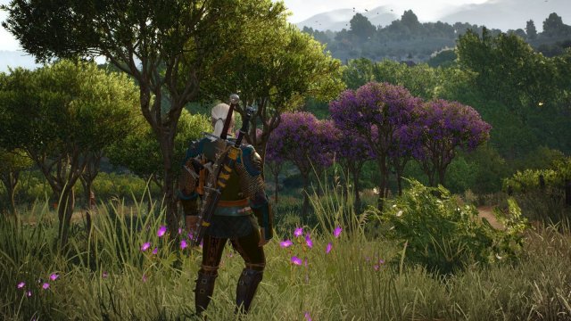 The Witcher 3 Screenshot 2025.05.22 - 22.01.50.47.jpg