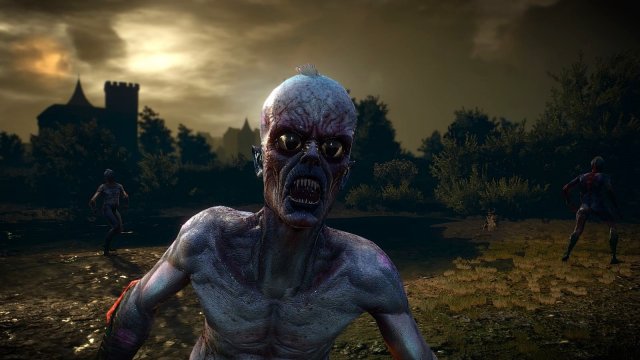 The Witcher 3 Screenshot 2025.04.30 - 22.08.11.41.jpg