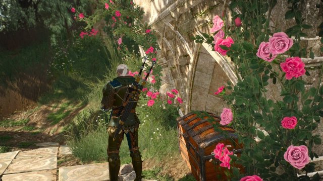 The Witcher 3 Screenshot 2025.06.18 - 21.40.35.91.jpg