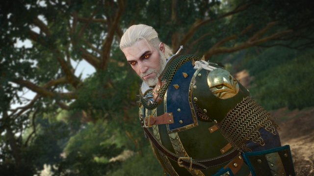 The Witcher 3 Screenshot 2025.11.11 - 21.56.47.74.jpg