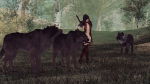 Элли средь волков.. SKYRIM AE (Сборка 16)