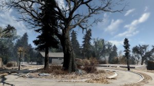 В Сэнкчуари.. Cyberpunk 2077 глазами Windfire