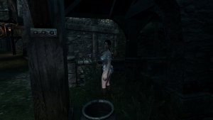 Служанка из синего дворца.