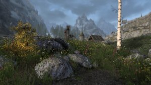 Кусочек природы.