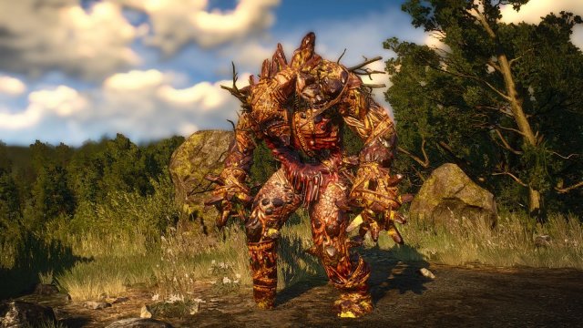 The Witcher 3 Screenshot 2025.05.18 - 22.37.27.56.jpg