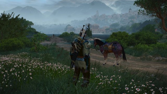 The Witcher 3 Screenshot 2025.05.26 - 21.47.18.33.jpg