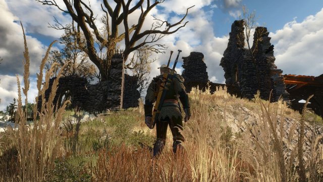 The Witcher 3 Screenshot 2025.05.24 - 22.51.04.09.jpg