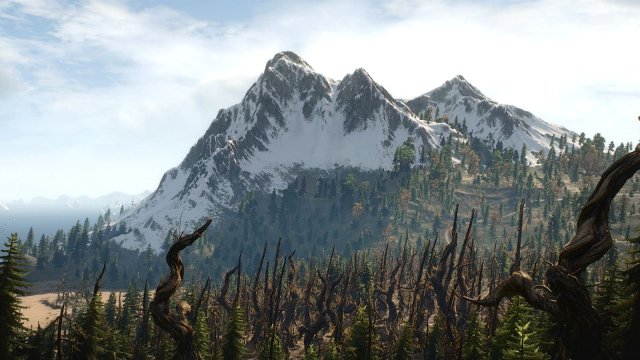 The Witcher 3 Screenshot 2025.05.24 - 22.56.42.85.jpg