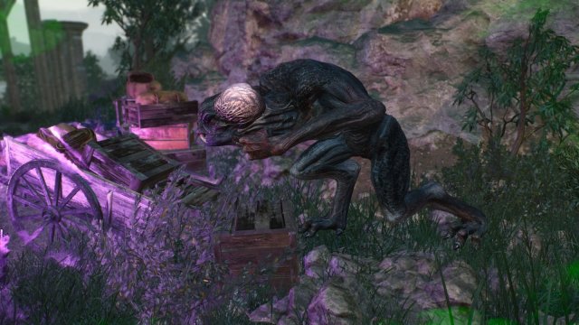 The Witcher 3 Screenshot 2025.06.14 - 20.43.25.44.jpg