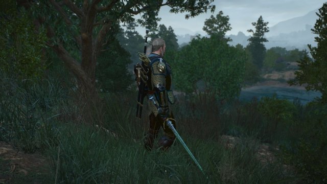 The Witcher 3 Screenshot 2025.05.26 - 21.47.03.05.jpg