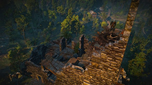 The Witcher 3 Screenshot 2025.05.26 - 21.31.22.03.jpg