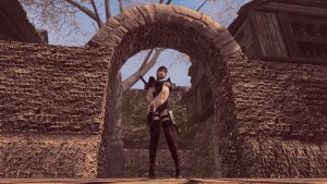 Арка Маркарта. SKYRIM AE (Сборка 16)