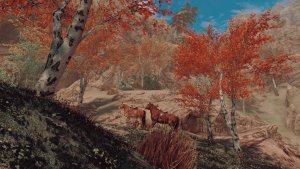 Пейзажик. SKYRIM AE (Сборка 16)