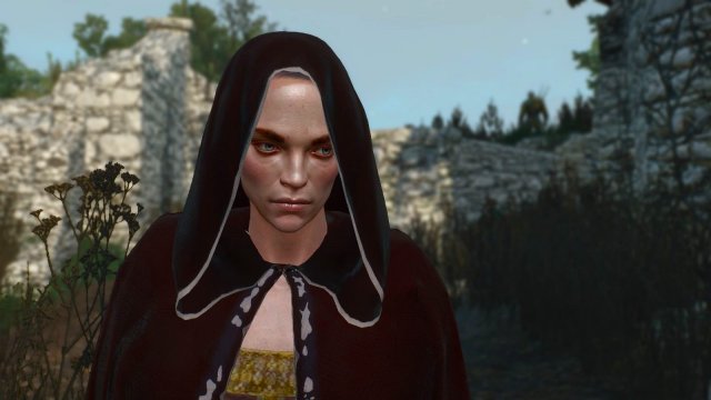 The Witcher 3 Screenshot 2025.12.27 - 18.44.32.01.jpg