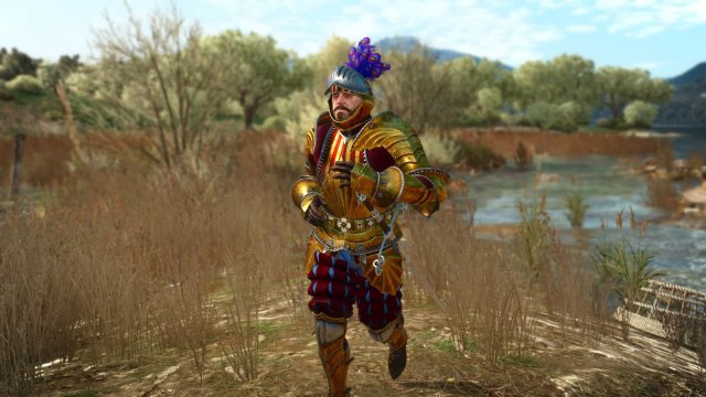 The Witcher 3 Screenshot 2025.05.22 - 00.05.09.71.jpg