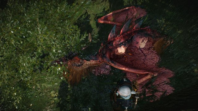 The Witcher 3 Screenshot 2025.05.26 - 21.21.32.91.jpg