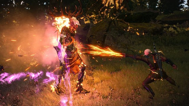 The Witcher 3 Screenshot 2025.11.12 - 21.20.14.50.jpg