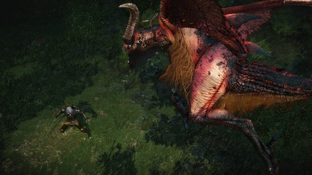 The Witcher 3 Screenshot 2025.05.26 - 21.20.32.22.jpg