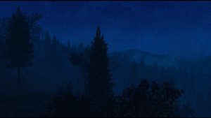 Любимая графика..