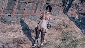 За высоким забором.. Fallout-4 (Сборка 11)