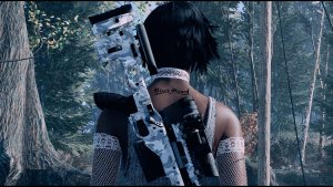 ... Fallout-4 (Сборка 11)