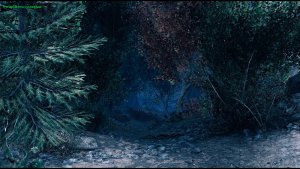 Густые заросли.