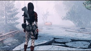 В пути.. Fallout-4 (Сборка 11)