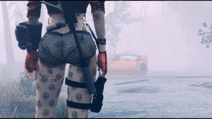 Туманная дорога. Fallout-4 (Сборка 11)